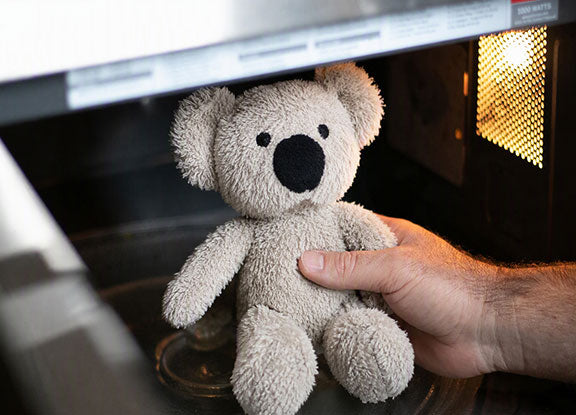 Ollie being placed in a microwave