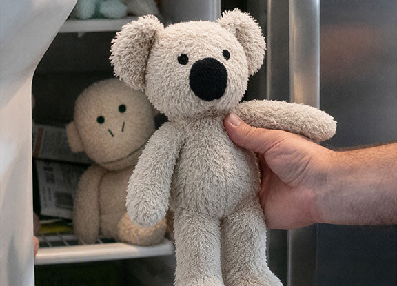 Ollie being placed in a freezer