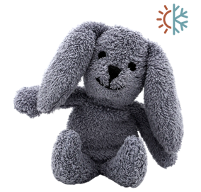 Baxter the Rabbit
